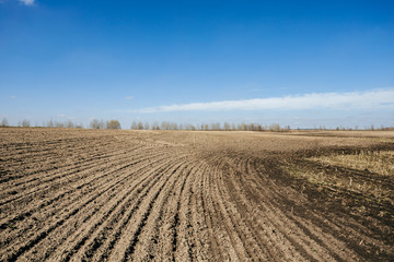 Ploughed field in spring prepared for sowing