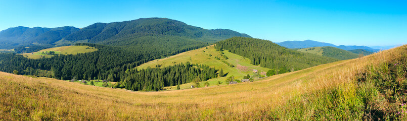 Obraz premium Summer mountain view (Carpathian, Ukraine).