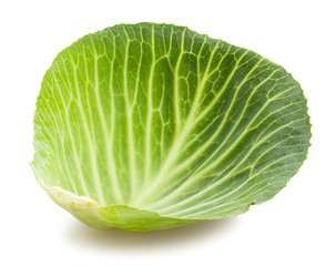Fototapeta premium cabbage leaf