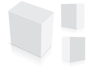 box for your corporate identity. Easy to change colors. Mock Up. Vector EPS10