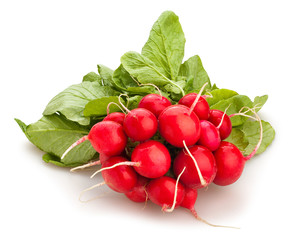 radish