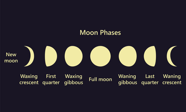 Moon phases on blue background text new
