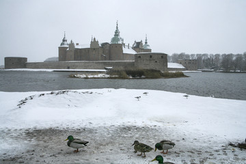 Kalmar Slott en gråmulen viterdag med fåglar © gorerl