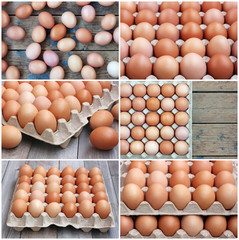 set of photos with chicken eggs.