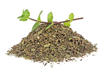 Fresh and dry mint on a white background