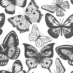vector hand-drawn light background with butterflies