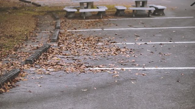Cleaning Autumn leaves in autumn park by blower machine