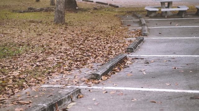 Cleaning Autumn leaves in autumn park by blower machine