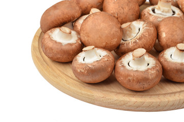 Champignon (True mushroom) on wooden board
