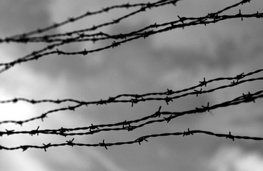 many lines of dangerous and sharp barbed wire