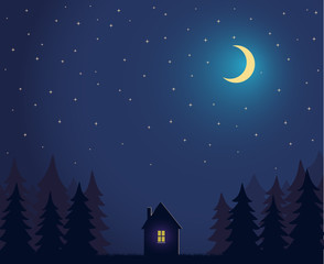 Naklejka na ściany i meble House and tree and night sky with stars and moon