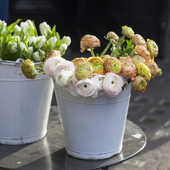the Bouquet of orange Ranunculaceae for sale