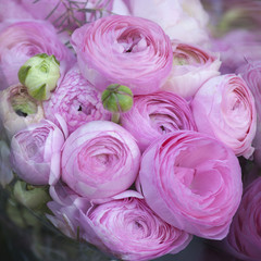 Fototapeta na wymiar the Bouquet of pink Ranunculaceae for sale