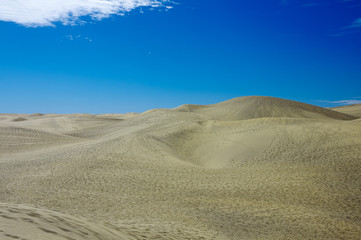 Fototapeta na wymiar Dunes of Maspalomas.Gran Canaria