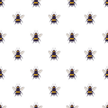 Vector bees set - seamless pattern. Hand drawn ink sketch with bumblebee insect. Wild animal drawing