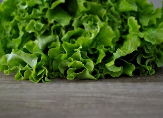 Fresh lettuce background.