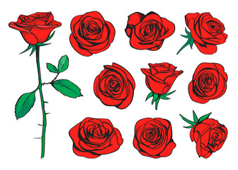 Red roses hand drawn color set. Black line rose flowers inflorescence silhouettes isolated on white background. Icon collection. Vector doodle illustration - obrazy, fototapety, plakaty
