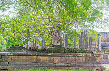 Visiting Dalada Maluwa in Polonnaruwa
