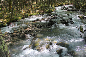 River and rocks. El Chalten (Argentina's Trekking Capital) - Patagonia