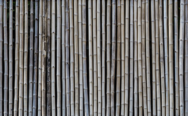 bamboo wall