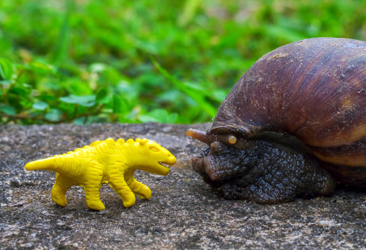 Yellow dinosaur puppet and Giant snail in garden. Funny monsters macro photo.