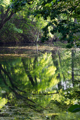 夏の公園