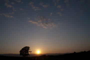 Fototapeta na wymiar 夕暮れの空と大きな木のシルエット