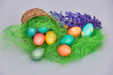 Fototapeta na wymiar Easter eggs in nest with blue hyacinths flowe