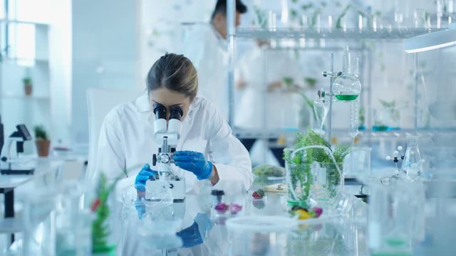  Research scientists analyzing plant life in laboratory & discussing work