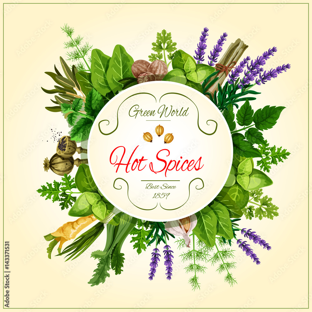 Sticker Spices and leaf vegetable poster for food design