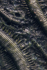 Abstract metal background