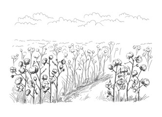 vector hand drawn village houses sketch and nature Hand drawn Illustration.