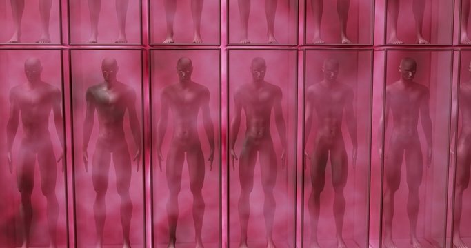 Human Clones suspended in boxes and pink fluid life support chambers. 3d render. Front view