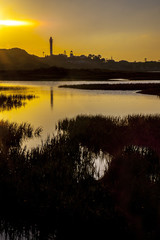 El Rompido lighthouse and marina at sunrise from marshlands