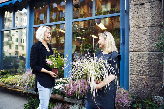 Sweden, Sodermanland, Stockholm, Sodermalm, Two florists talking while holding potted plant