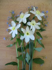 Bouquet of daffodils and forget-me-nots