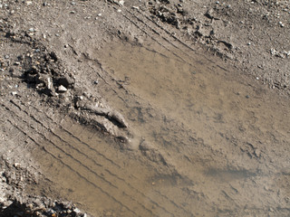 Vehicle tyre tread tracks imprinted in muddy country lane puddle
