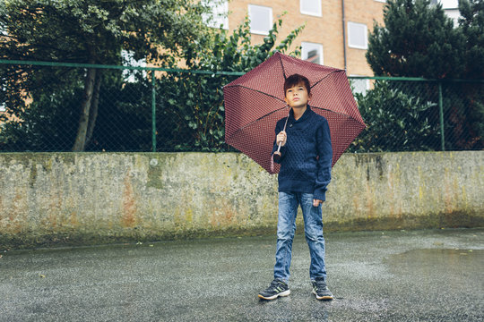 Sweden, Blekinge, Karlskrona, Portrait of boy (8-9) holding umbrella