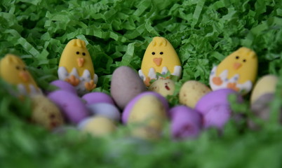 Fototapeta na wymiar Sweet colourful candy eggs in green grass nest with yellow chicken.