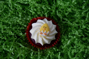 Home made easter muffin decorated with easter egg. Easter concept, yellow chicken egg on top of the red and white cupcake in green nest.