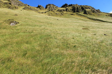 Obraz premium ヴィークの丘にて