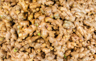 Ginger root pile in sun on market display. Spicy plant image for cooking book or food design