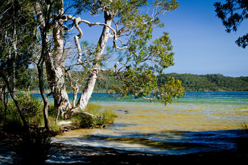 Smiths Lake, New South Wales, Australia
