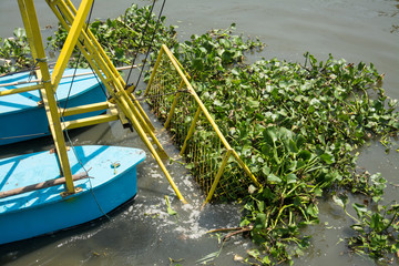 Fototapeta premium boat dig water hyacinth in the canal