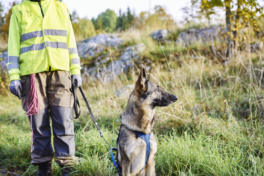 Sweden, Uppland, Rison, Volunteer with dog helping emergency services find missing people