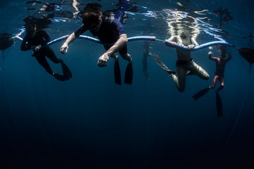 Free divers on the ocean's surface preparing to descend to the depth
