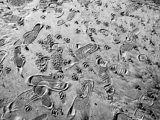 Foot Prints on the beach