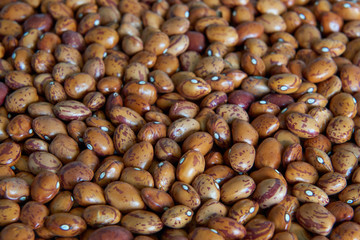 Ecological pinto beans