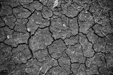Crack soil on dry season, Global worming effect.