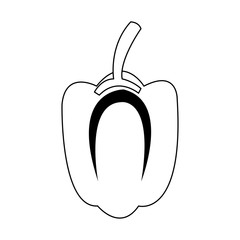 pepper vegetable icon over white background. vector illustration